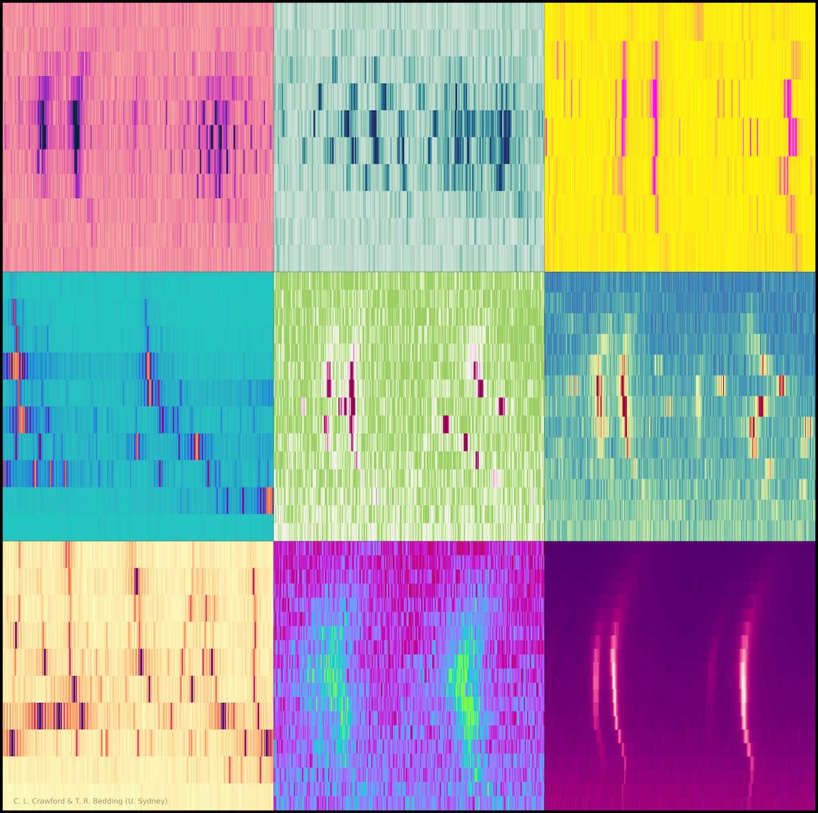 image of the echelle artwork